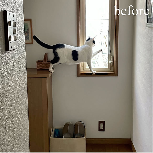nobikoさんの部屋