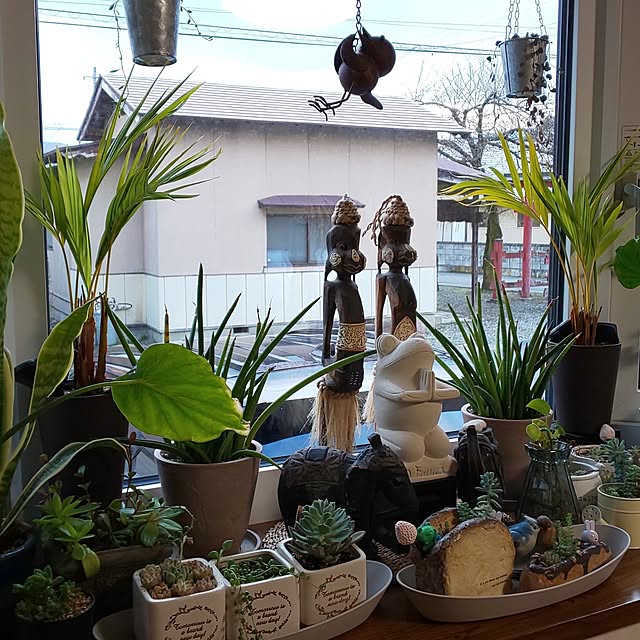 yumiyumiさんの実例写真