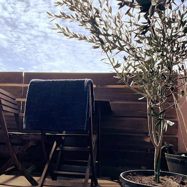 mofzeniさんの実例写真
