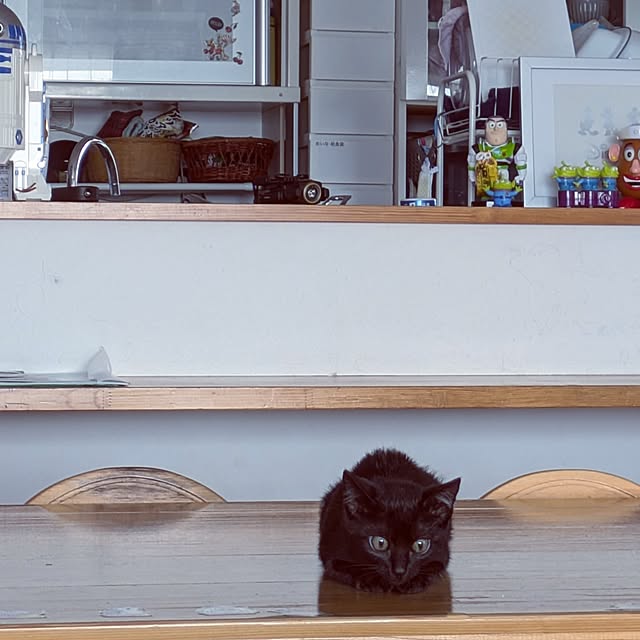 MyuRuuさんの実例写真