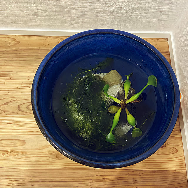 ayaさんの実例写真