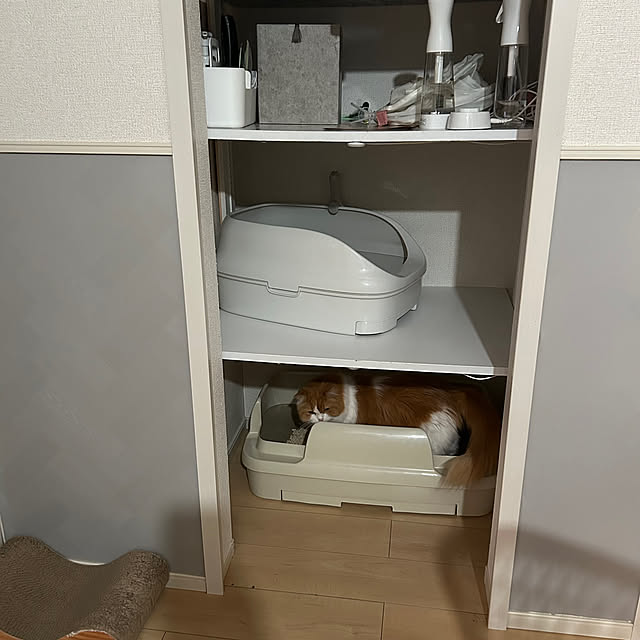 H.Tさんの部屋