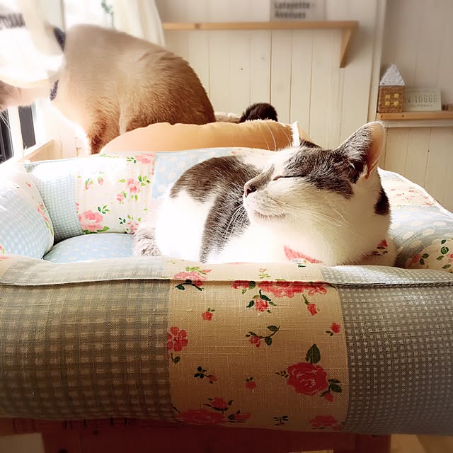 mintcatさんの実例写真