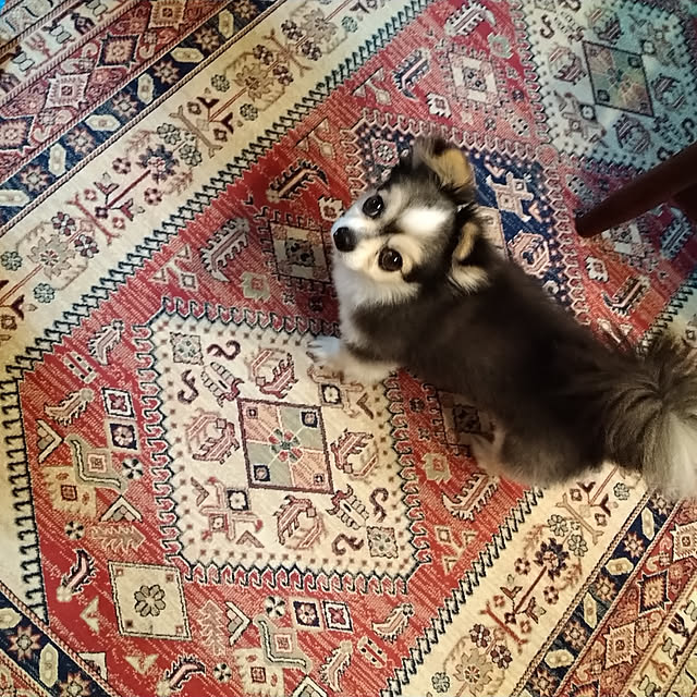 mizuさんの実例写真