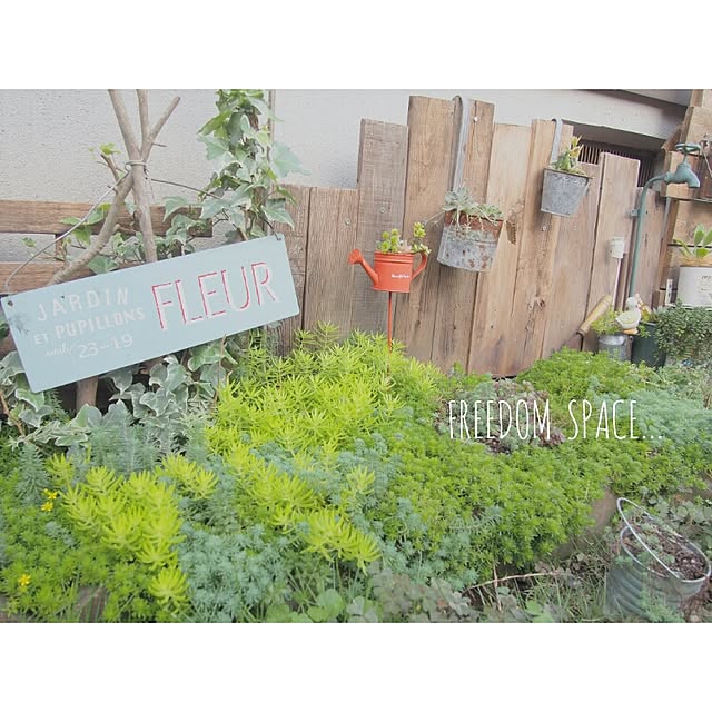 Ryoさんの実例写真