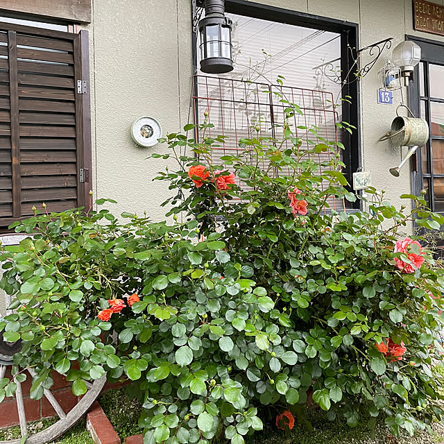 shin0719さんの実例写真