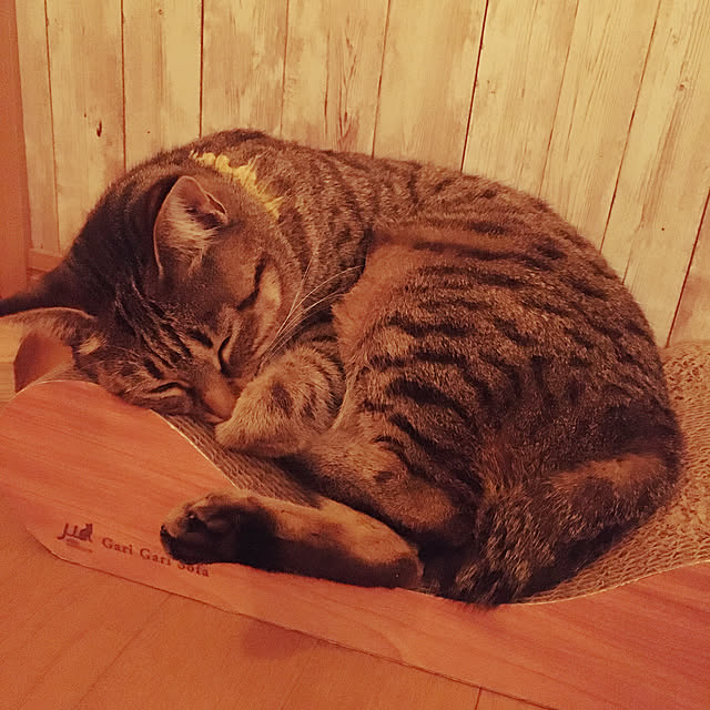 Mさんの実例写真