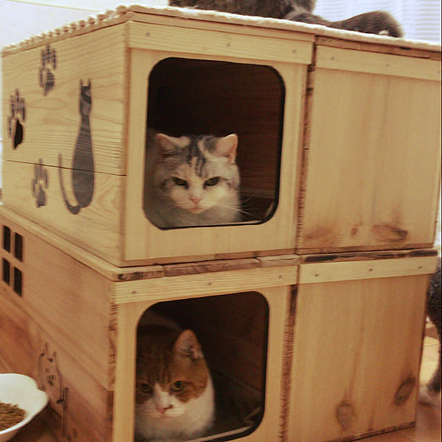 nya_sanさんの実例写真