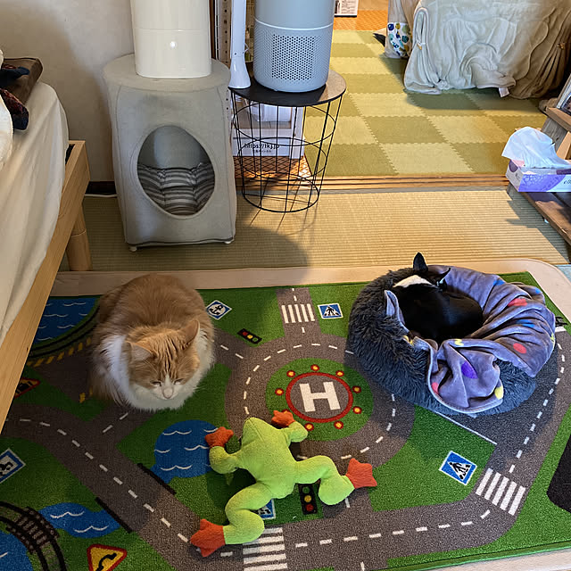 sakuramochiさんの実例写真