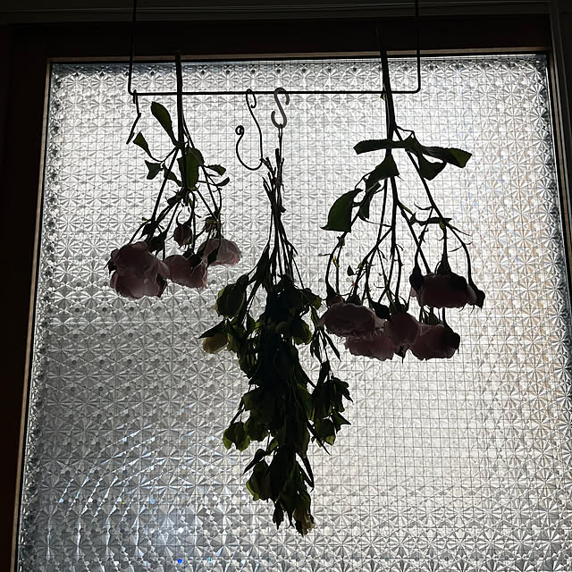botanさんの部屋