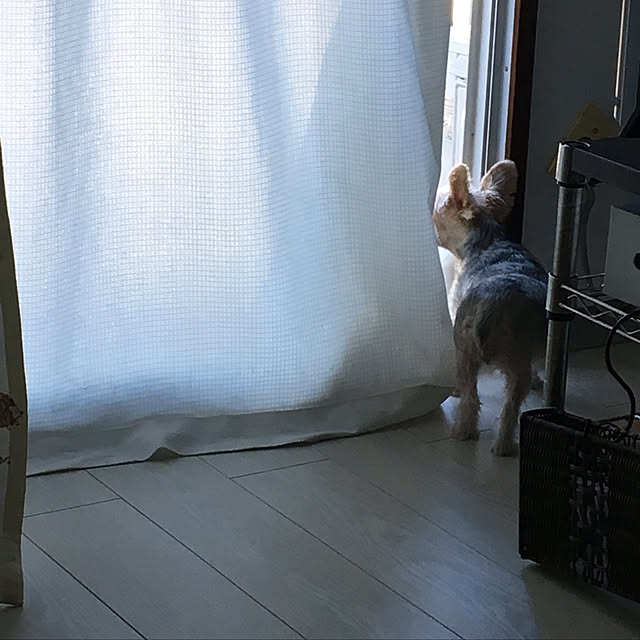 ohanaさんの実例写真