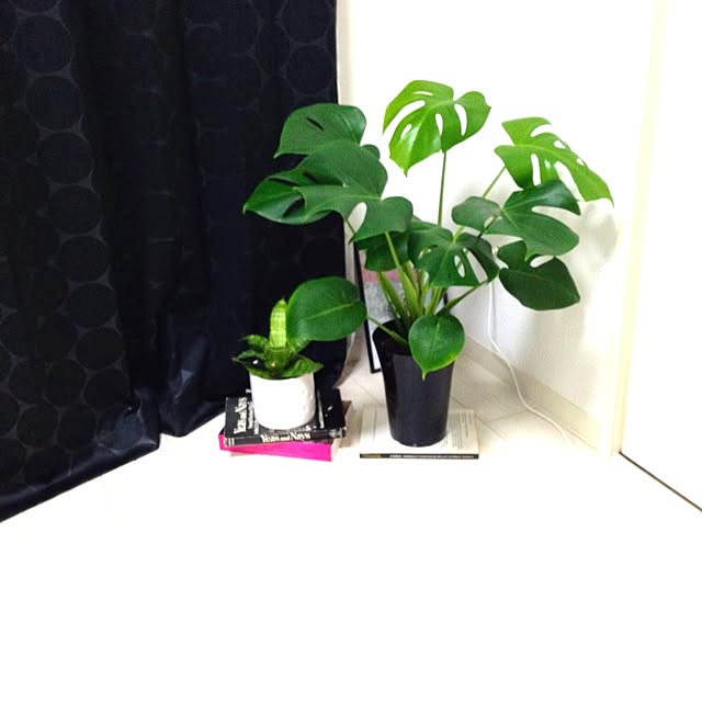 Maikaさんの実例写真