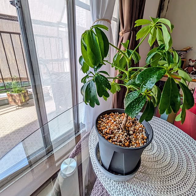 mi-saさんの実例写真