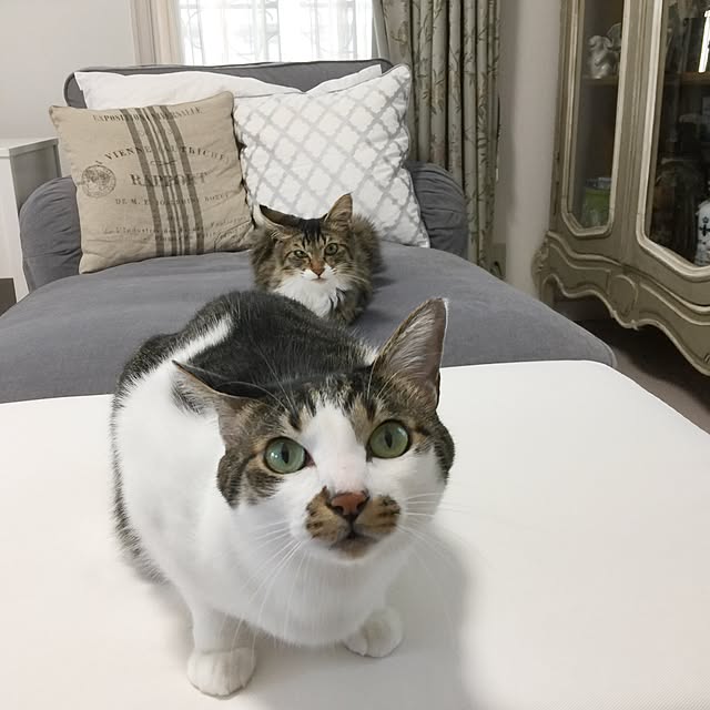 yuchiさんの実例写真