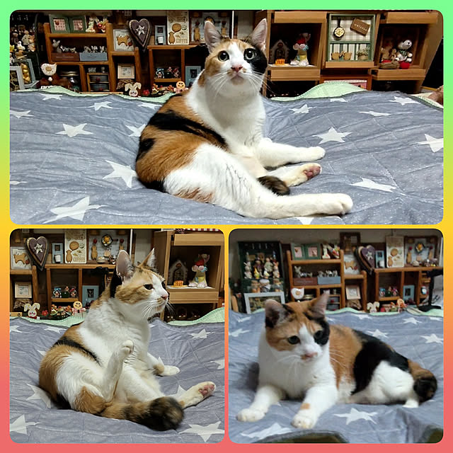 nanaさんの実例写真