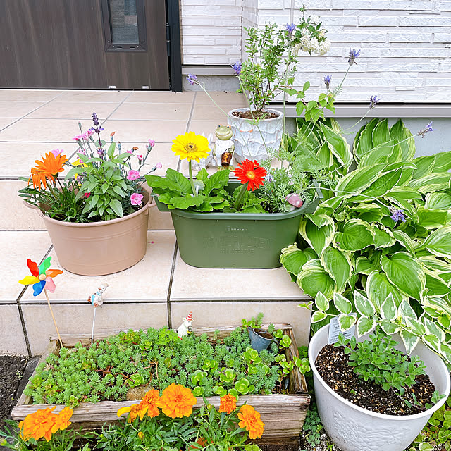 Saaさんの実例写真