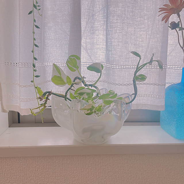 akiko-ovさんの実例写真