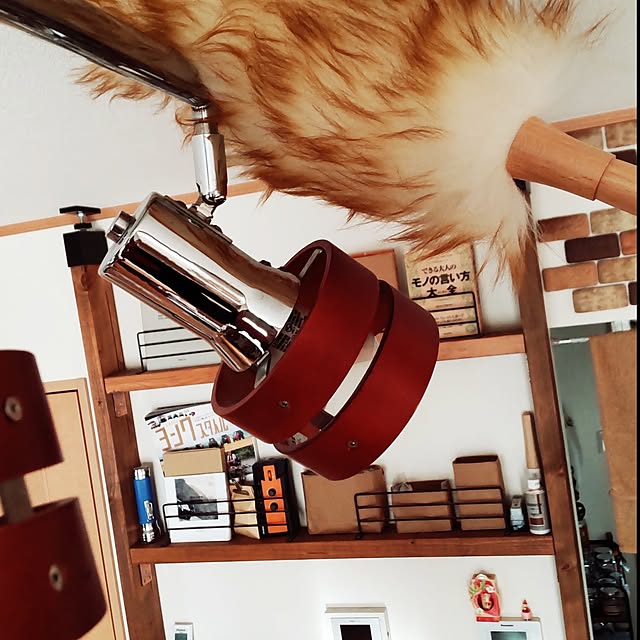 haniwaさんの実例写真