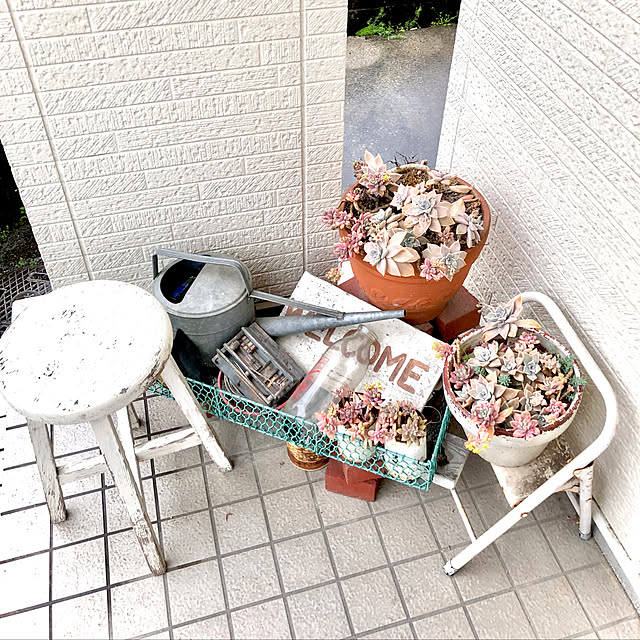 yokoさんの実例写真