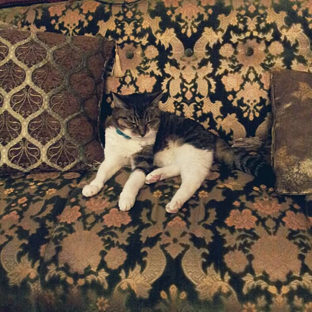emmyyさんの実例写真