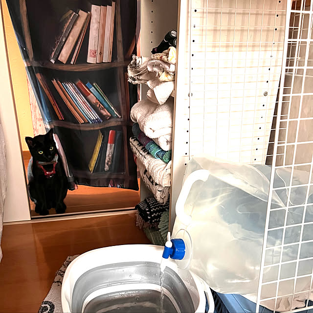 jijiさんの実例写真