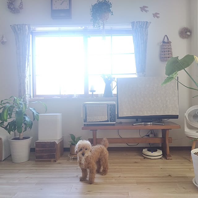 santamamaさんの実例写真