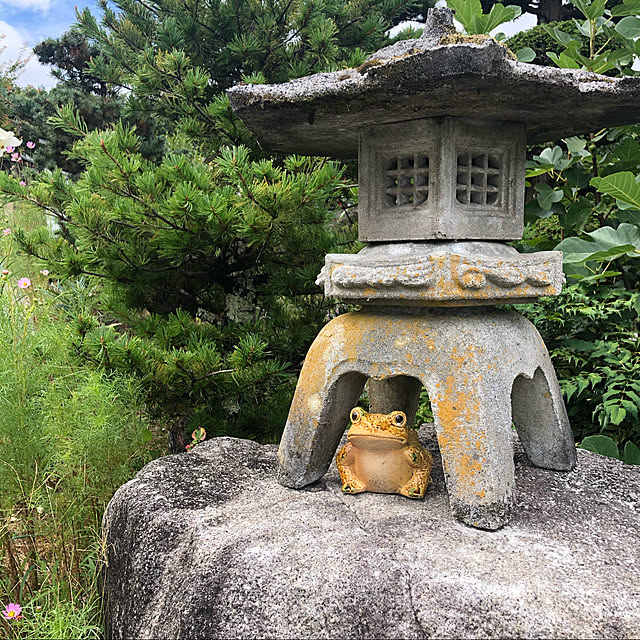haruhirisuさんの実例写真