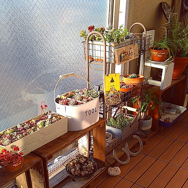 sakusakuさんの実例写真