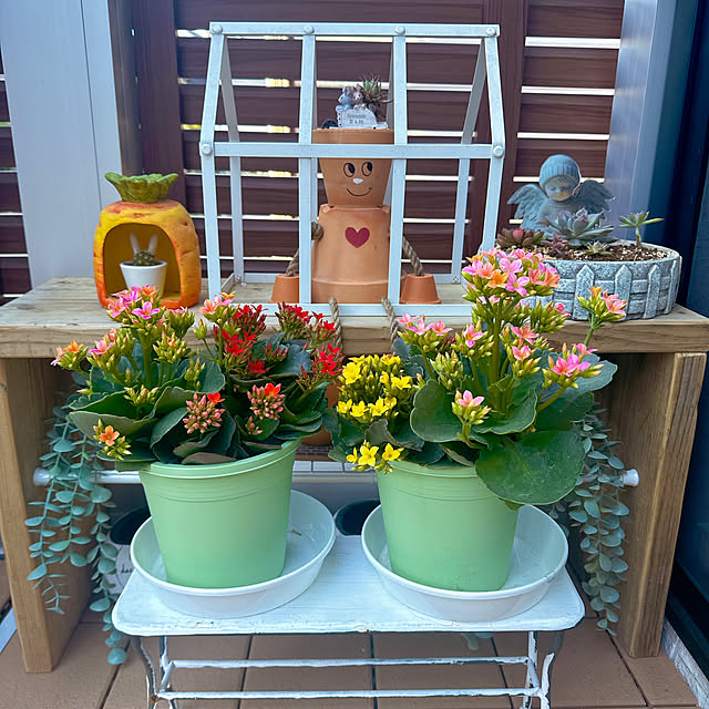 miyuさんの実例写真