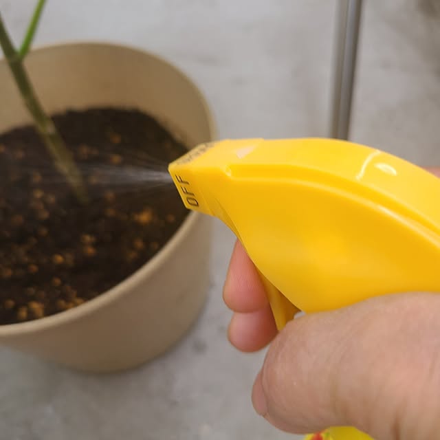 monnさんの部屋