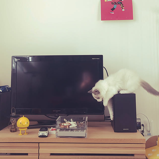vcvcmwさんの実例写真