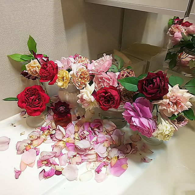 hiromimiさんの実例写真