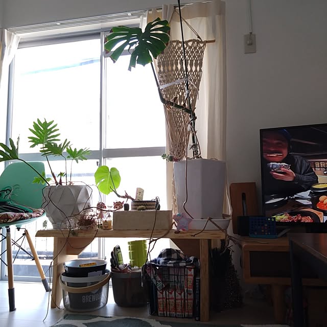 リビング/観葉植物/一人暮らし/多肉植物/北欧...などのインテリア実例 - 2025-05-28 07:56:04