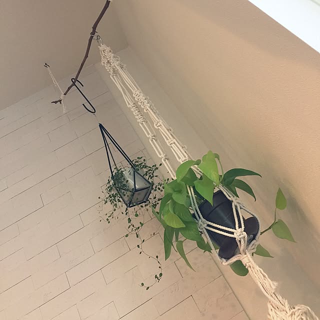 Yumiさんの実例写真