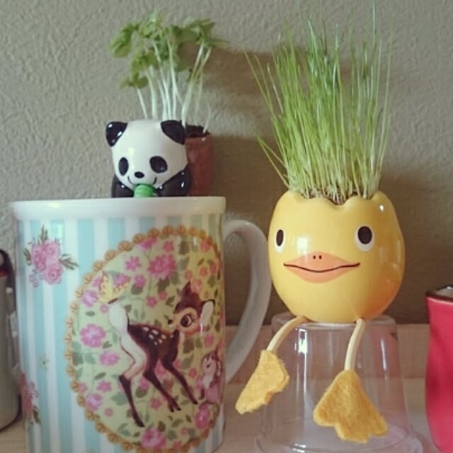 yosukeさんの実例写真