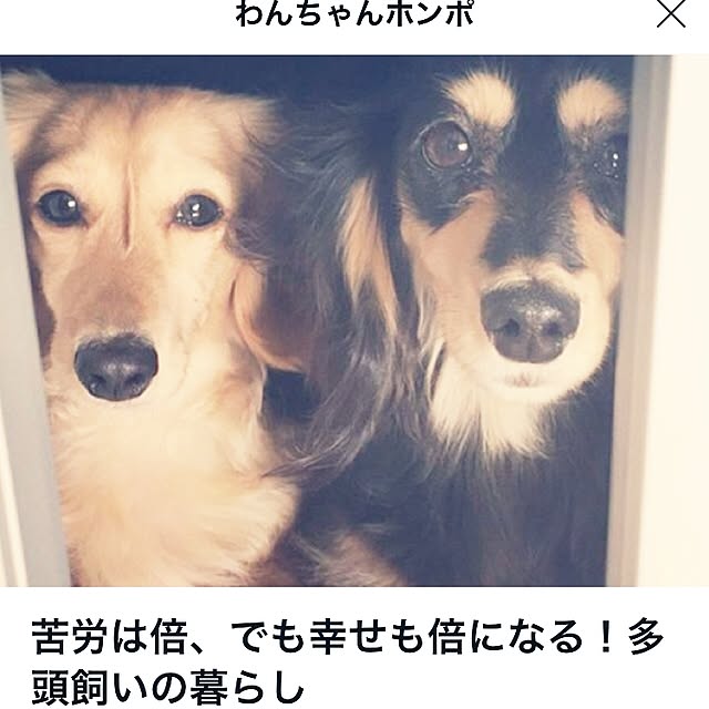 ohanaさんの実例写真