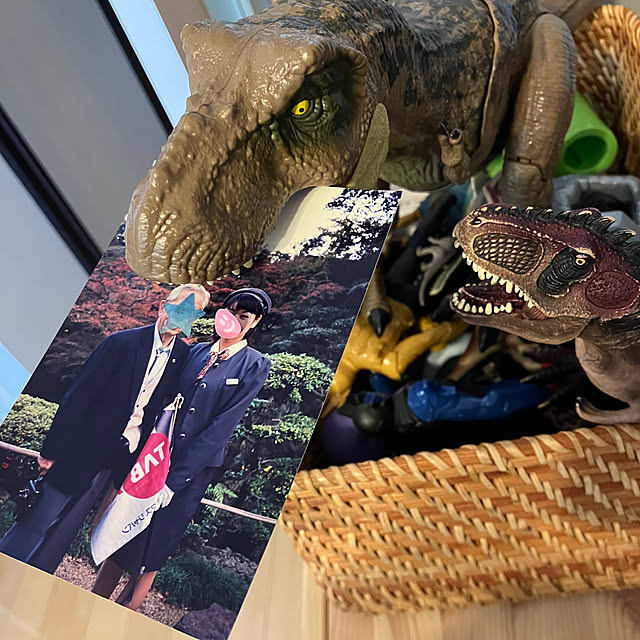 koshiregutyoさんの部屋