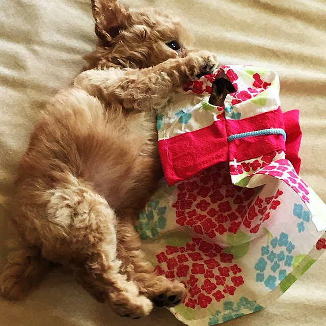 Katieさんの実例写真