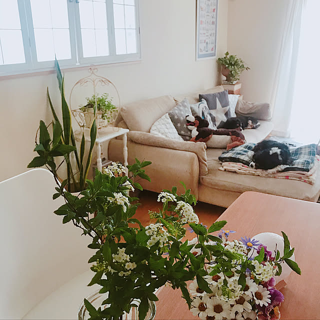 部屋全体のインテリア実例 - 2019-04-24 11:17:33