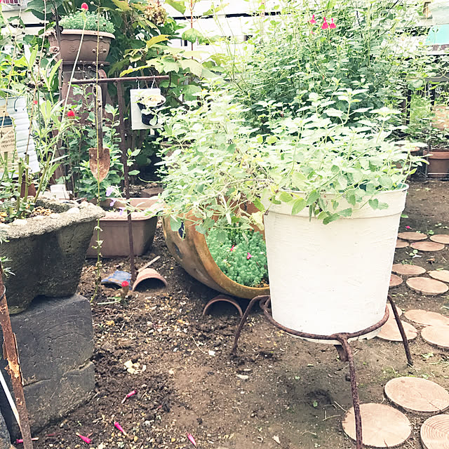 kokko3さんの実例写真