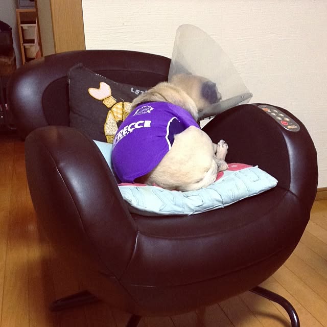 pugroomさんの実例写真
