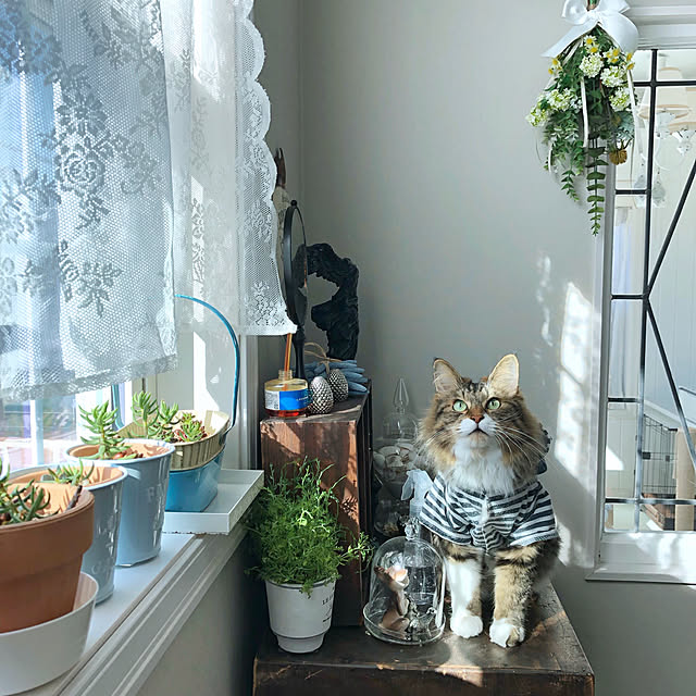 yuchiさんの実例写真