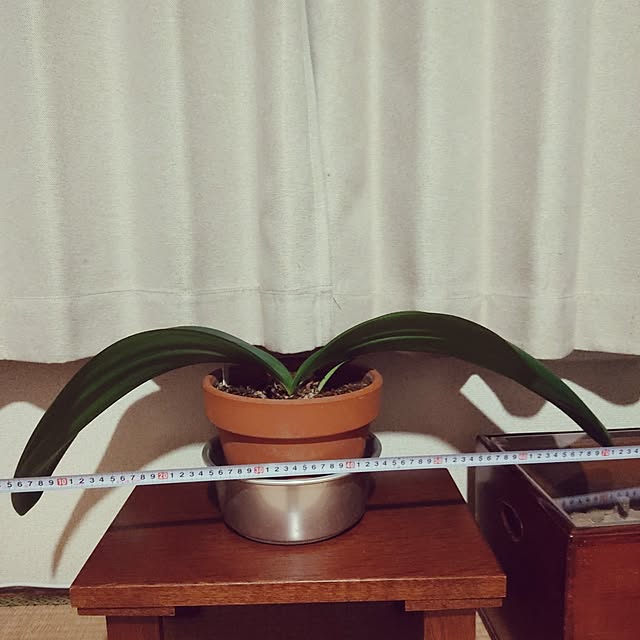 NORIRINさんの実例写真