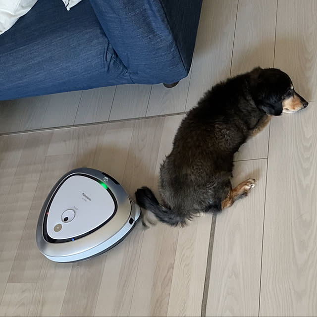 ohanaさんの実例写真