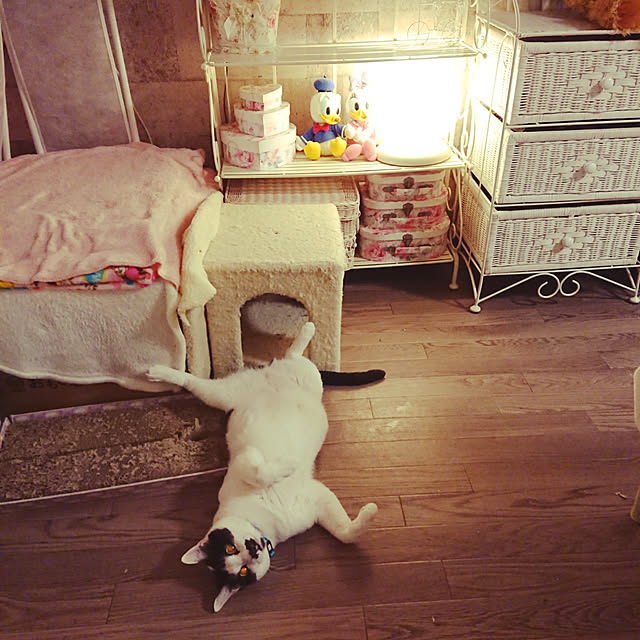 asuminさんの実例写真