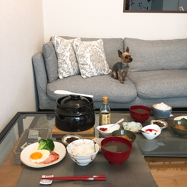 机/カメラマーク消し/食器/わんこと暮らす家/犬のいる暮らし...などのインテリア実例 - 2018-05-20 09:37:00