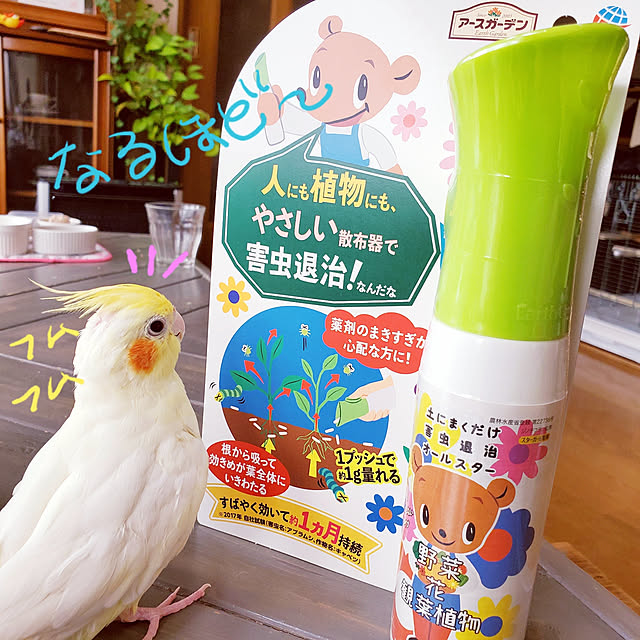 Minaharuさんの実例写真
