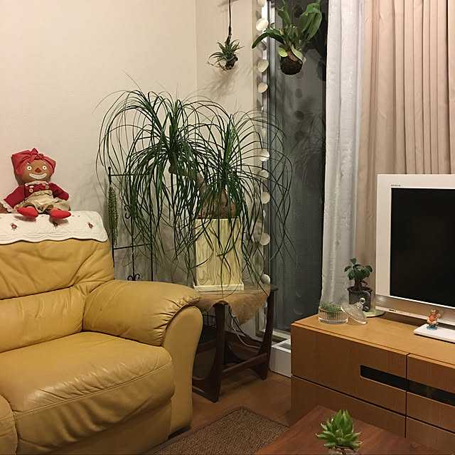 mimiさんの実例写真