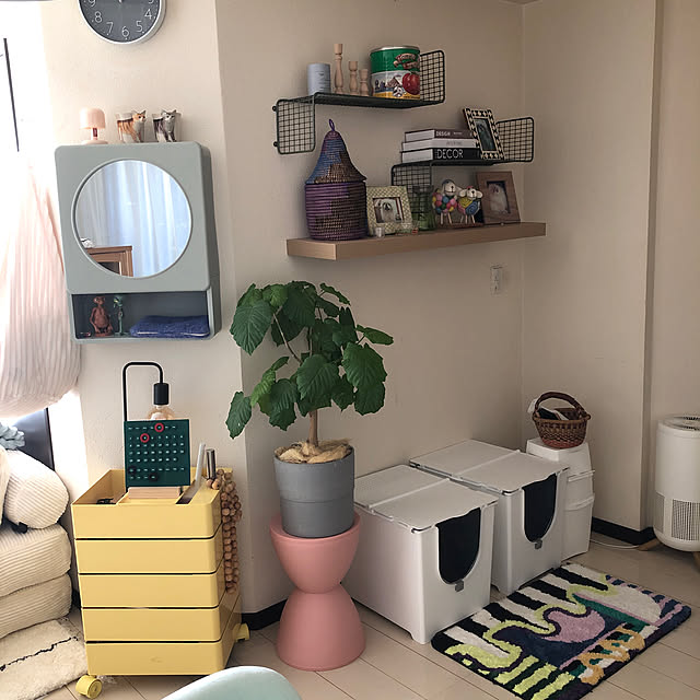 Rabiさんの実例写真