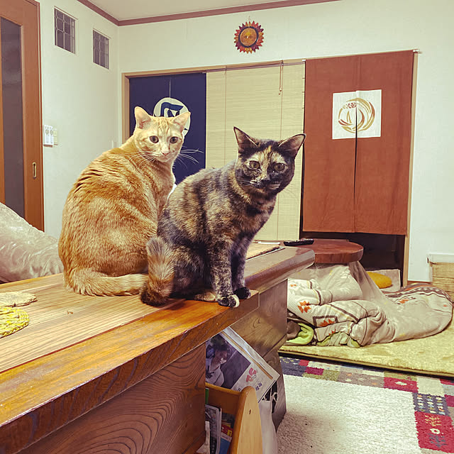 tornadeさんの実例写真